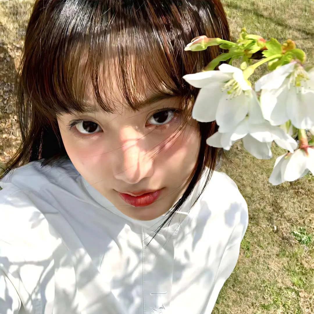 藤本树 海报