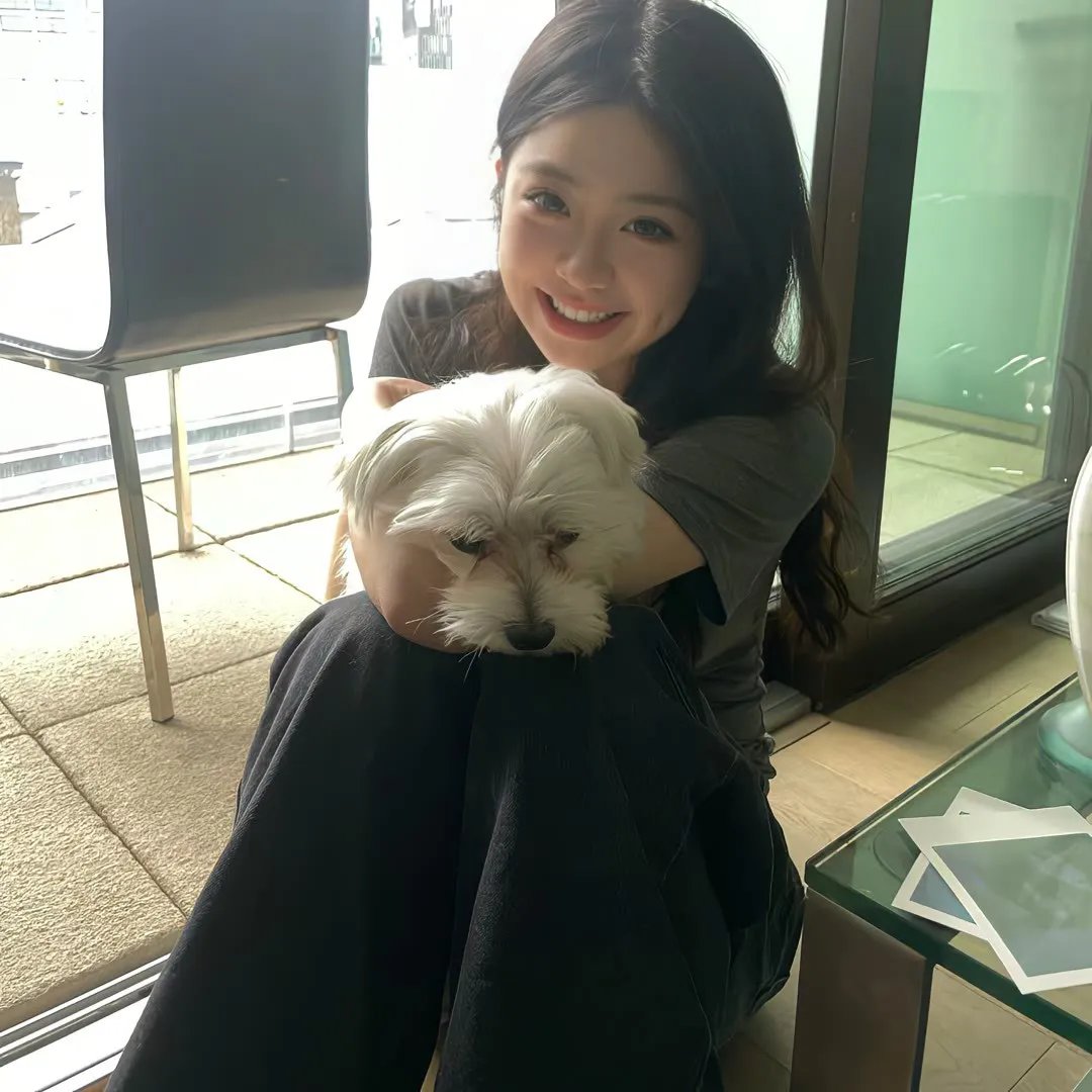妄人妄途 海报